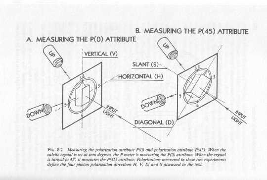 quantum reality-51.jpg